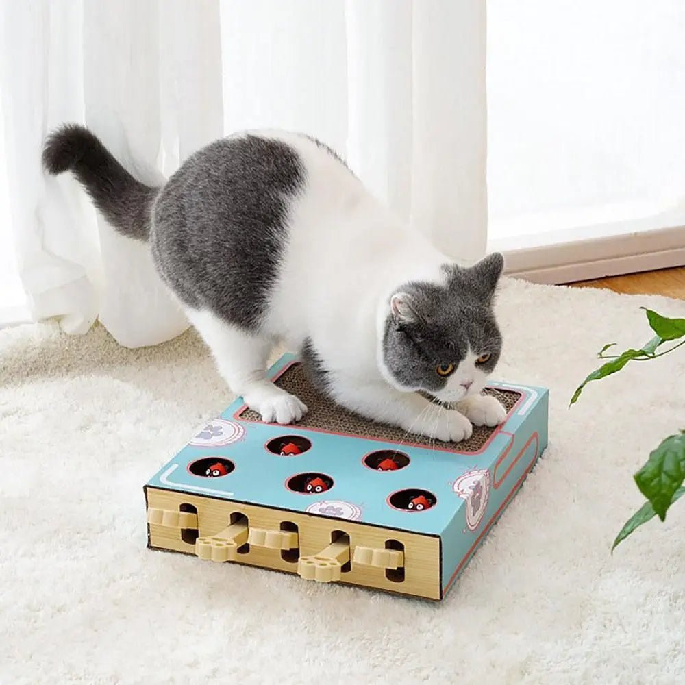 Cat Toy Whack - a - Mole Cat Scratching Board Toy Grinding Claw Rest Play Funny Cat Interactive Multifunctional Cat SuppliesHappy TailsHappy Tails