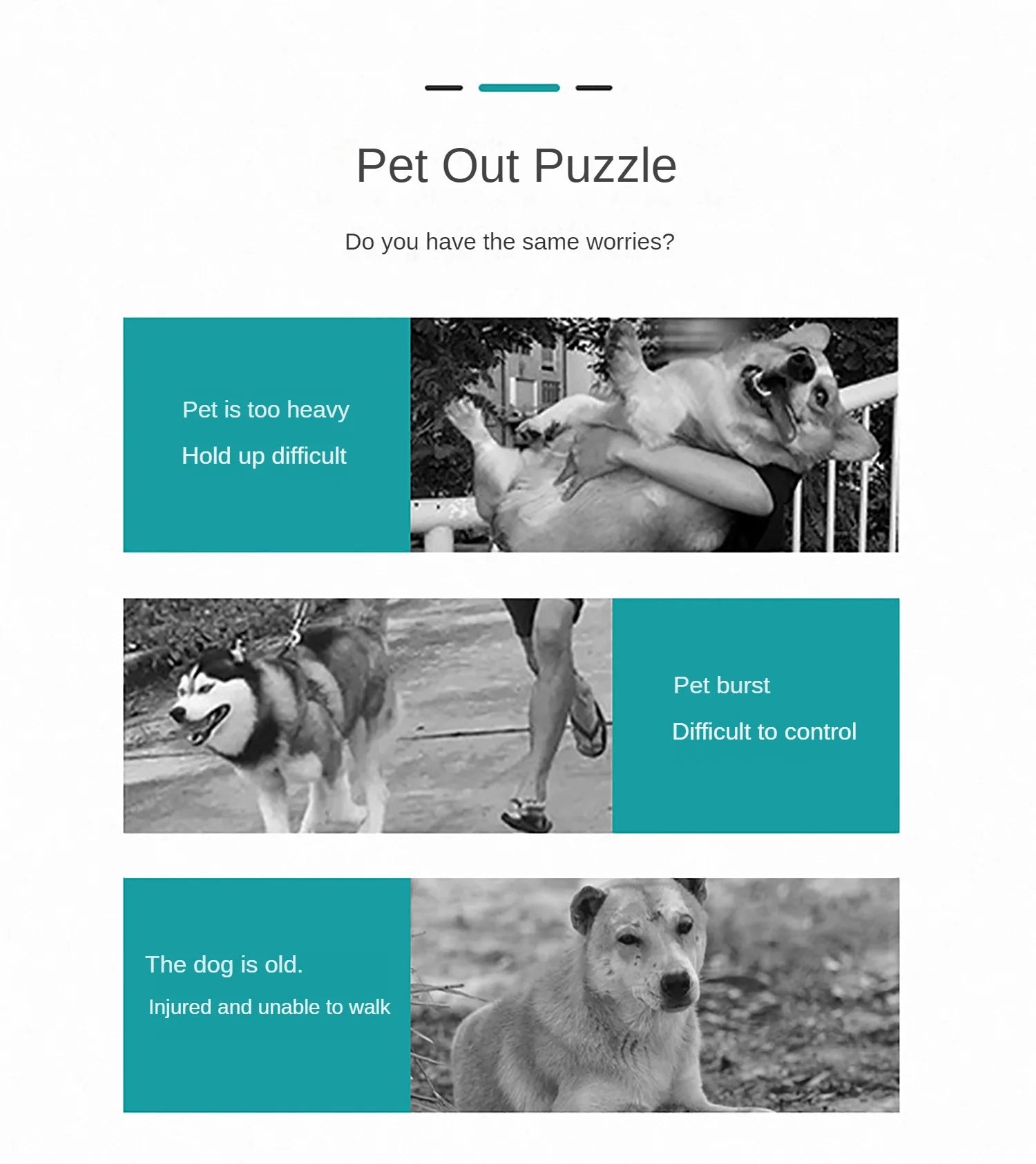 Pet Stroller for Clean & Easy Walks - Ideal for Kittens, Puppies & Elderly DogsHappy TailsHappy Tails
