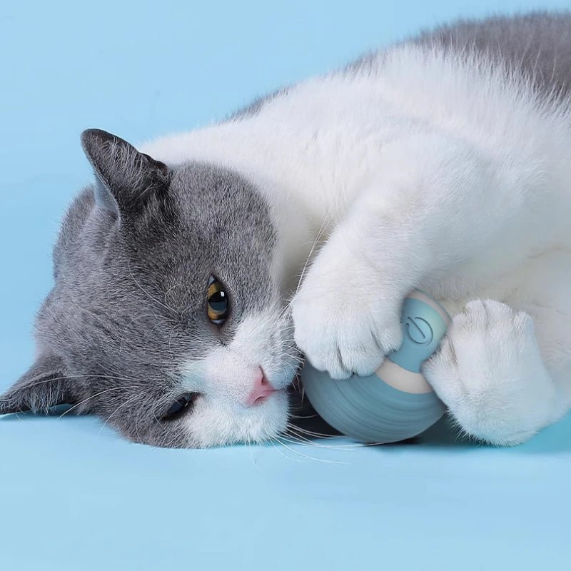 Self-moving Electric Cat Ball Toy for Active KittensHappy TailsHappy Tails