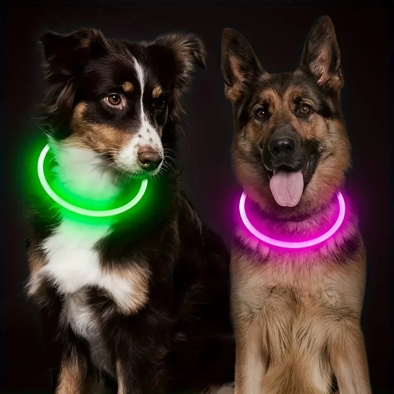 Pet Dog LED Light Collar Luminous Anti-Lost Dog Collar USB Rechargeable Dog Necklace Collar - Happy Tails