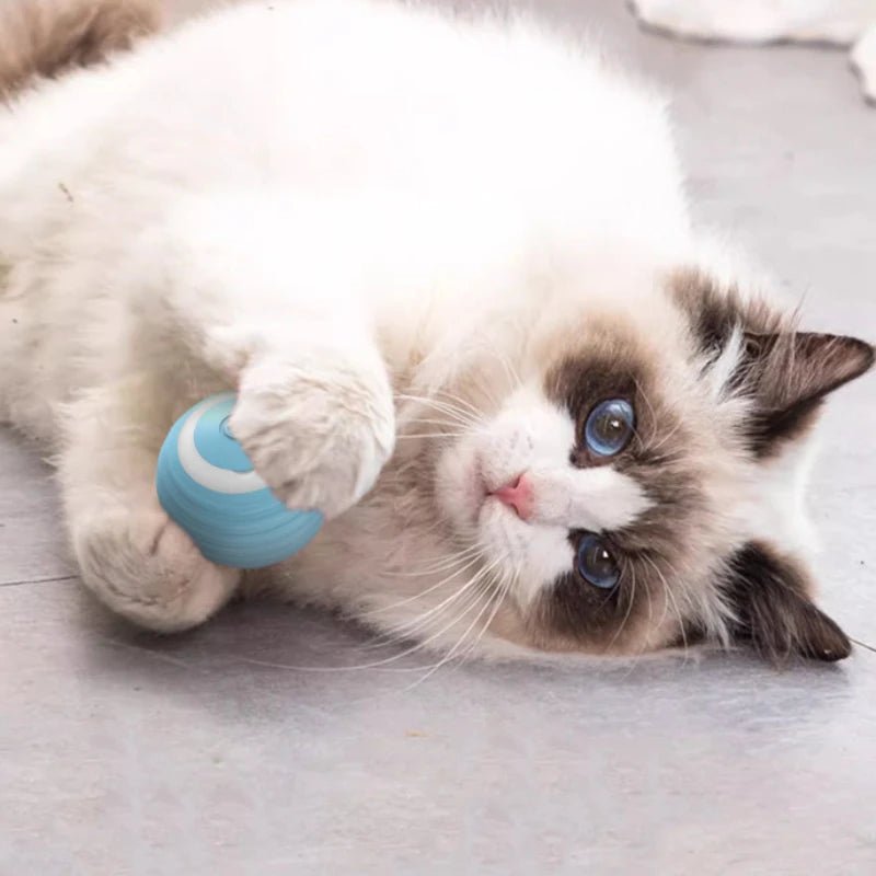 Self-moving Electric Cat Ball Toy for Active KittensHappy TailsHappy Tails