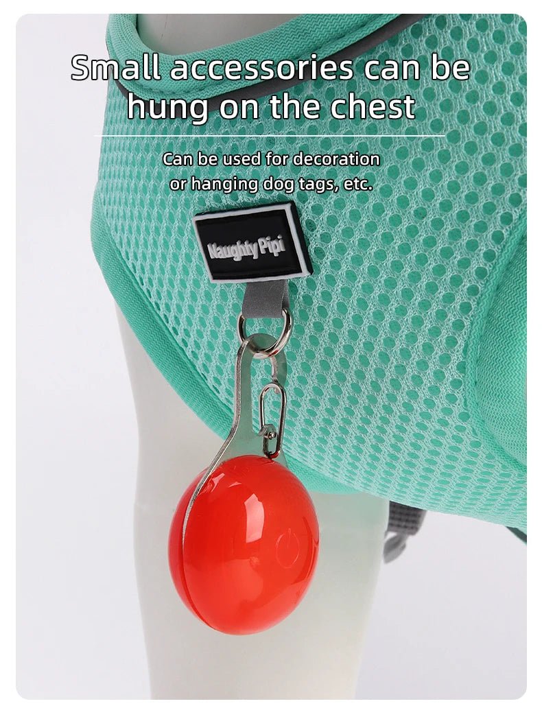 Dog Harness for Small Dogs Adjustable Puppy Cat Harness Vest French Bulldog Chihuahua Pug Pet Outdoor Walking Collar Leash Set - Happy Tails