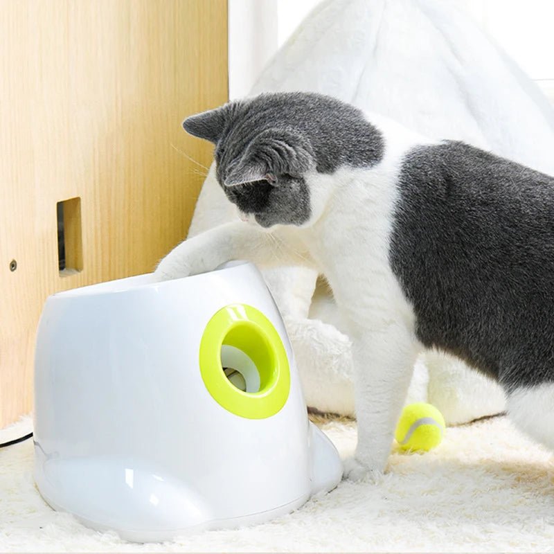 Automatic Catapult Dog Ball Launcher Toy for PitbullsHappy TailsHappy Tails