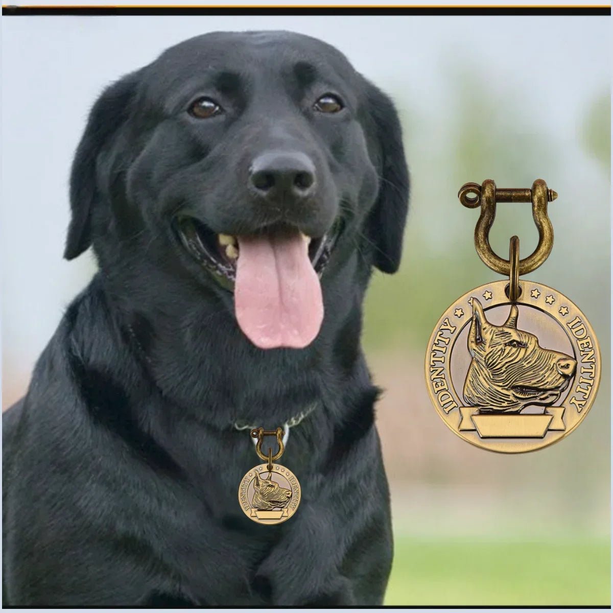 VIP Customizable Engraved Pets ID Tag for Dog Cat Bronze Nameplate Tags Personalized Address Number Dogs Collar ID PendantHappy TailsHappy Tails