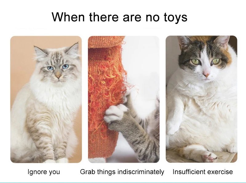 Simulation Cat Toy Cat Scratching Rope Feather Funny Kitten Playing Game Interactive Toy Retractable Hanging Door Pet Supplies - Happy Tails