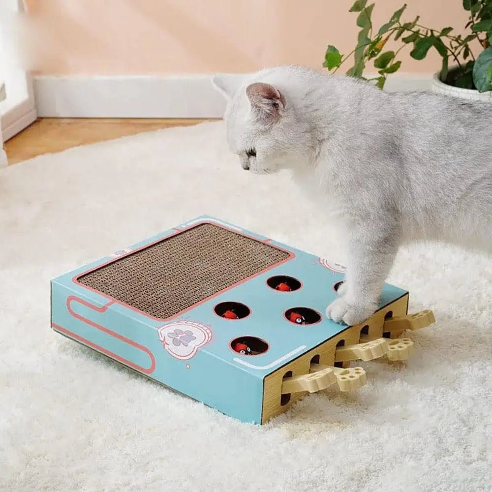 Cat Toy Whack - a - Mole Cat Scratching Board Toy Grinding Claw Rest Play Funny Cat Interactive Multifunctional Cat SuppliesHappy TailsHappy Tails