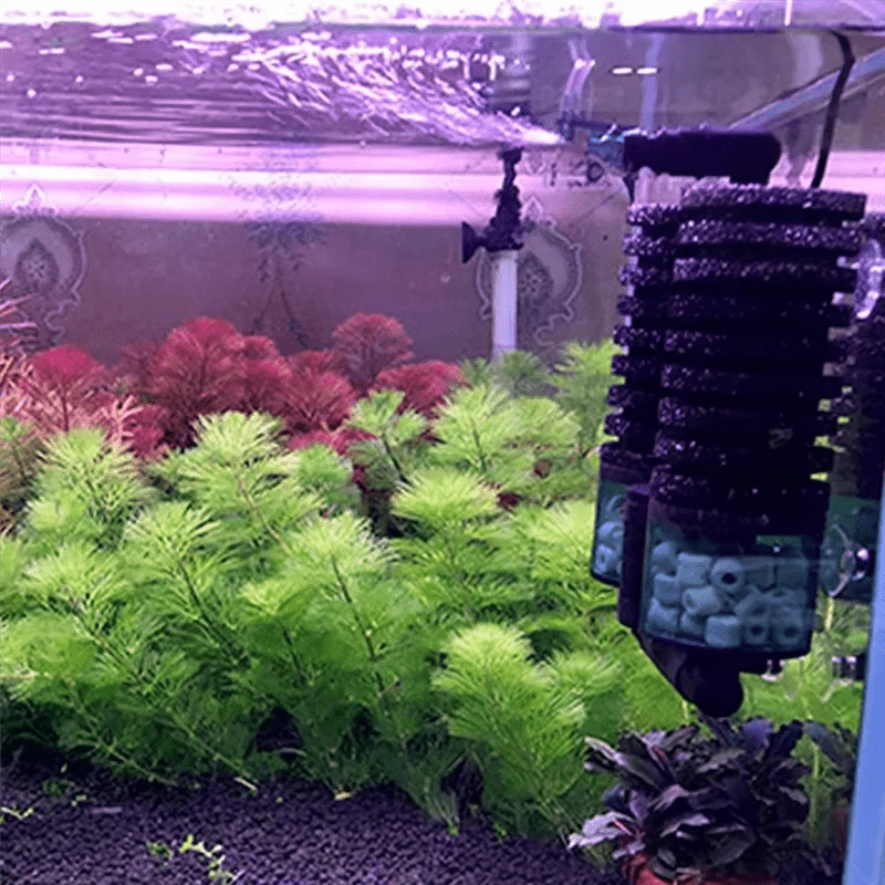 ABJN - USB Aquarium Filter With Electric Water Pump Air Pump Skimmer Biochemical Sponge For Fish Tank Bio FilterHappy TailsHappy Tails