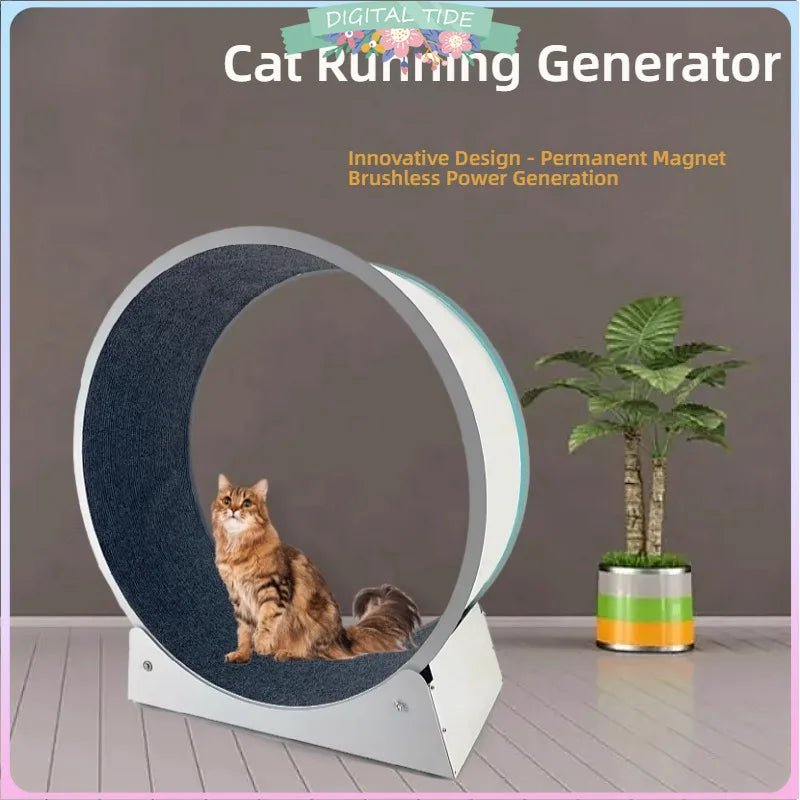 Cat & Small Dog Roller Generator - USB Charging Fitness ToyHappy TailsHappy Tails