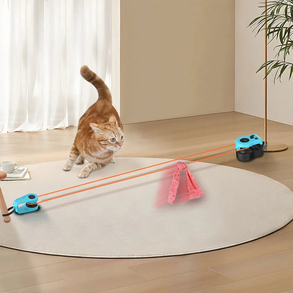 Small Pet Cat Treadmill Indoor Exercise Equipment for Cats and Kittens Portable Design with Easy SetupHappy TailsHappy Tails
