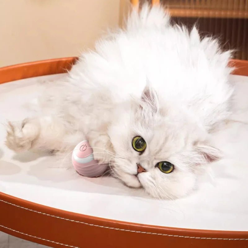 Self-moving Electric Cat Ball Toy for Active KittensHappy TailsHappy Tails