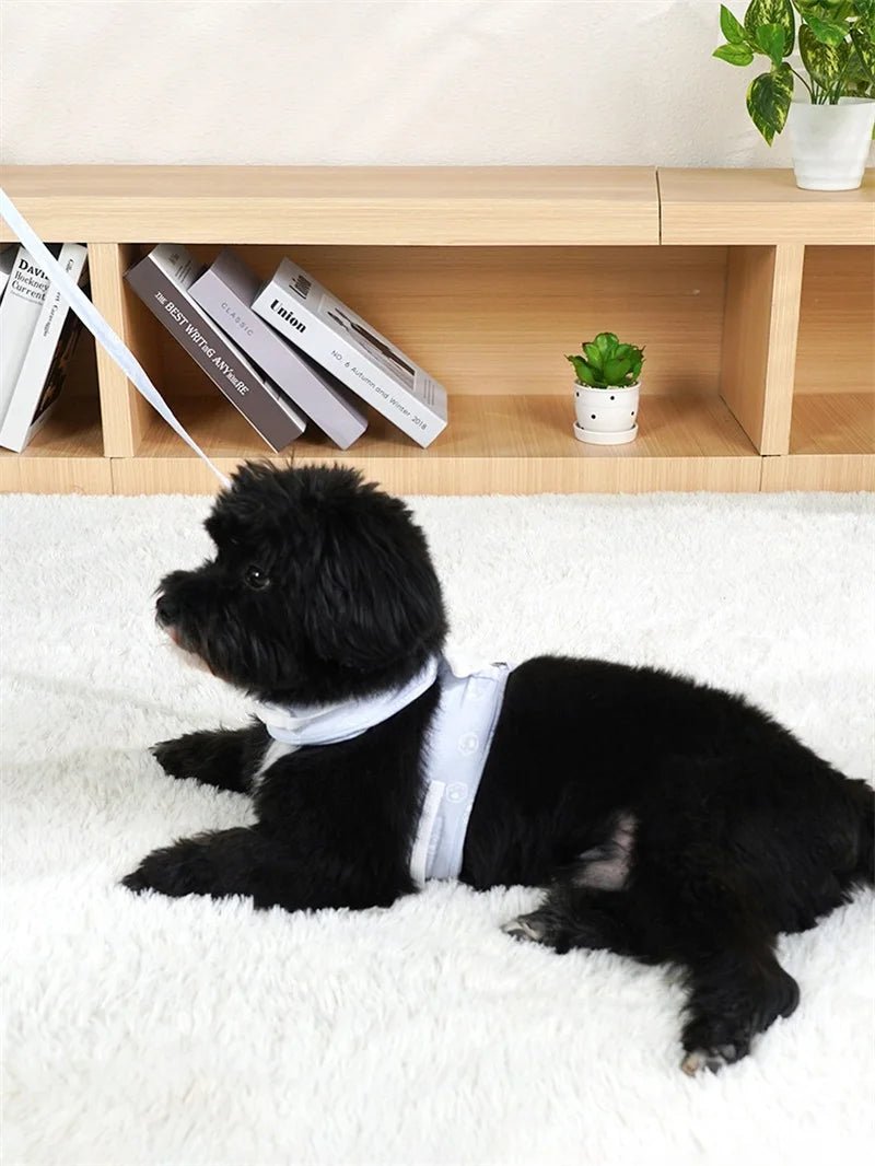 Cat Dog Harness Necklace Leash Collar Pet Items Accessories Kawaii Angel Wing Vest Harness For Dogs Cats Personalized Supplies - Happy Tails