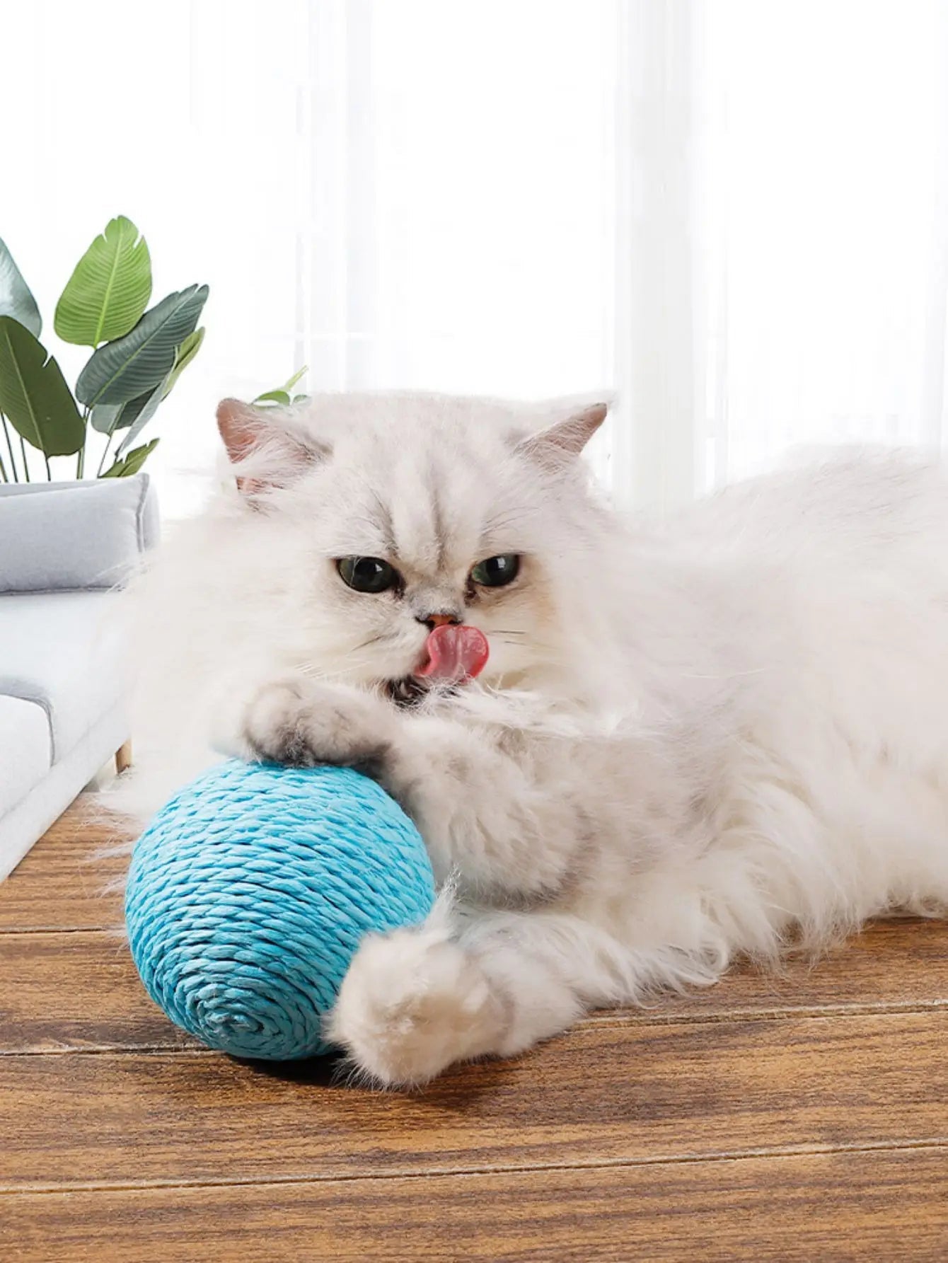 10CM Interactive Sisal Cat Scratching Ball Toy For Kitten Teeth Cleaning Anti Bite Cat Ball Sounding Toy Pet Supplies - Happy Tails