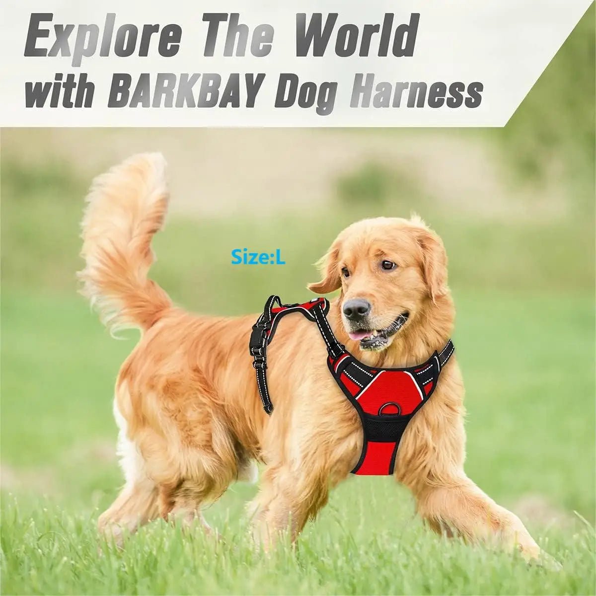 No Pull Dog Harness Front Clip Heavy Duty Reflective Easy Control Handle for Large Dog WalkingHappy TailsHappy Tails