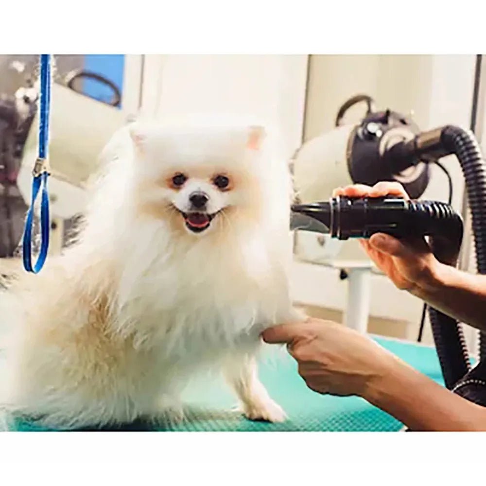 2800W Hair Dryer For Dogs Pet Grooming Supplies Blower Warm Wind Secador Fast Blow - dryer Silent Stepless Speed RegulationHappy TailsHappy Tails