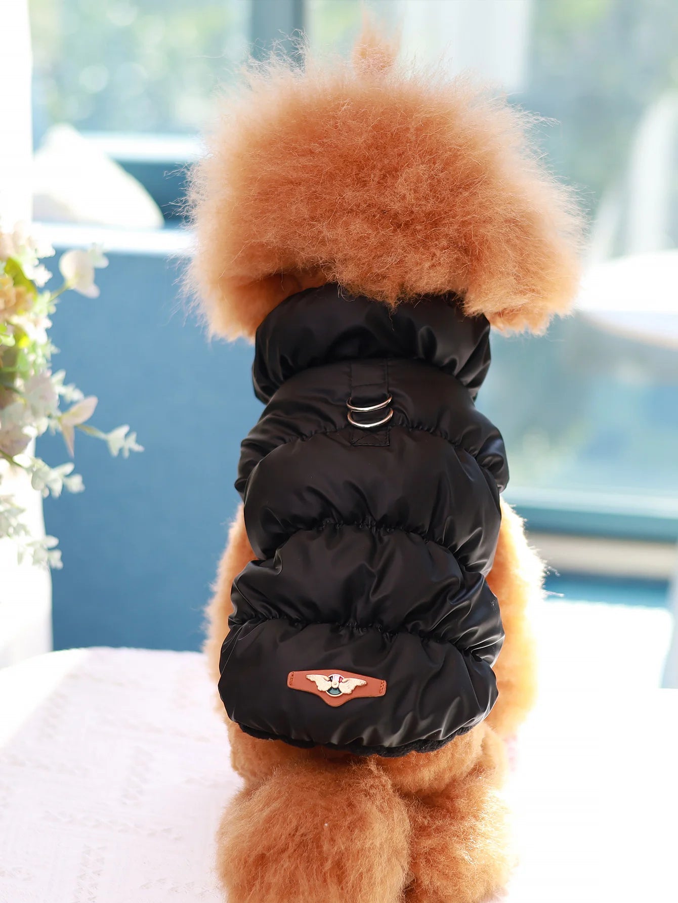 Dog Jacket For Autumn/Winter, Pet Coat, 3 - Layer Thick Warm Outerwear, Suitable For Small To Medium Dogs Like Poodle, Teddy, YorkHappy TailsHappy Tails