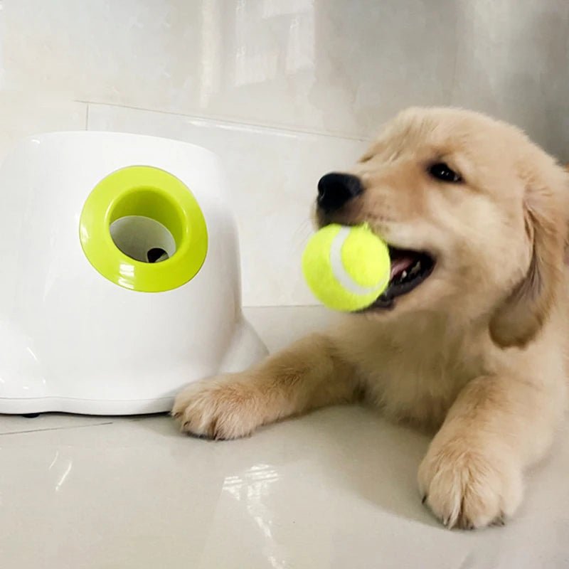 Automatic Catapult Dog Ball Launcher Toy for PitbullsHappy TailsHappy Tails