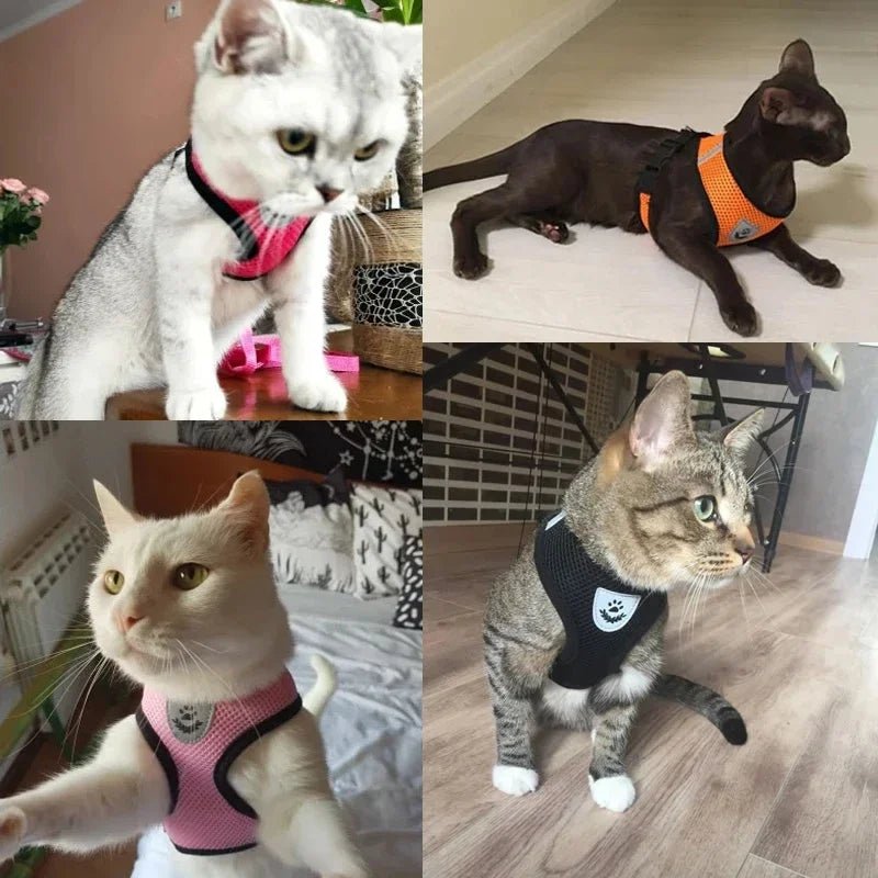 Cat Harness Vest Walking Lead Leash For Puppy Dogs Collar Polyester Adjustable Mesh Dog Harness For Small Medium Pet Accessories - Happy Tails