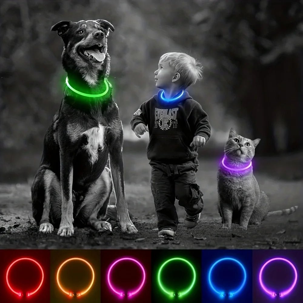 Pet Dog LED Light Collar Luminous Anti-Lost Dog Collar USB Rechargeable Dog Necklace Collar - Happy Tails