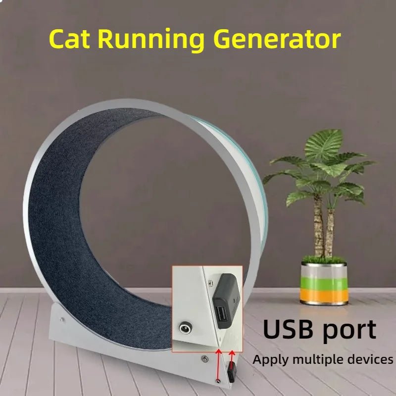 Cat & Small Dog Roller Generator - USB Charging Fitness ToyHappy TailsHappy Tails