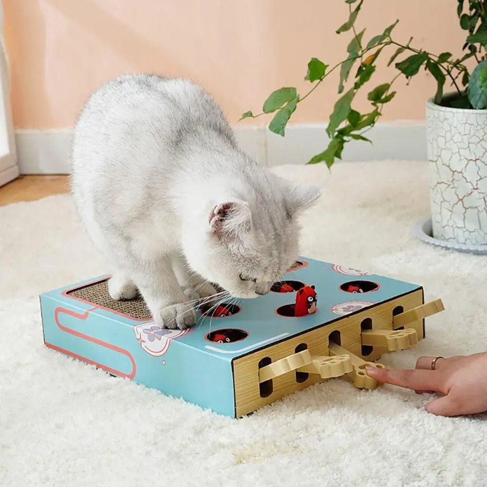 Cat Toy Whack - a - Mole Cat Scratching Board Toy Grinding Claw Rest Play Funny Cat Interactive Multifunctional Cat SuppliesHappy TailsHappy Tails