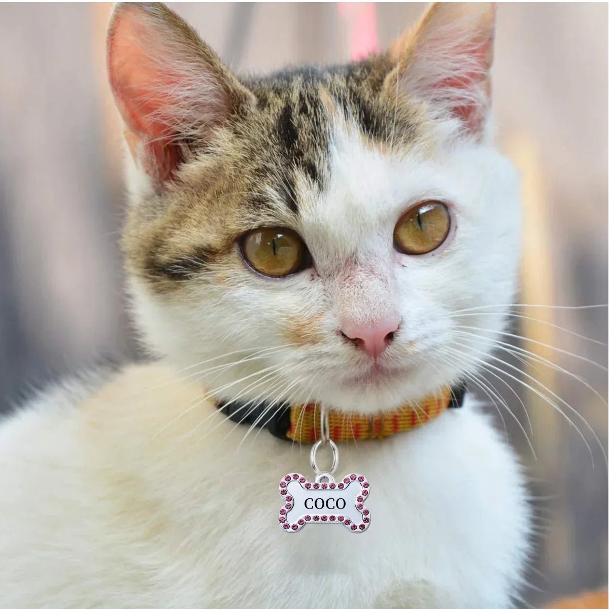 VIP Customizable Engraved Pets ID Tag for Dog Cat Bronze Nameplate Tags Personalized Address Number Dogs Collar ID PendantHappy TailsHappy Tails