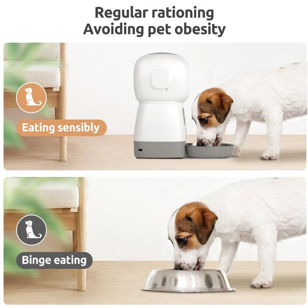 3.5L Automatic Pet Feeder Smart Food Dispenser For Cats Dogs Timer Stainless Steel Bowl Auto Dog Cat Pet Feeding Pet SuppliesHappy TailsHappy Tails