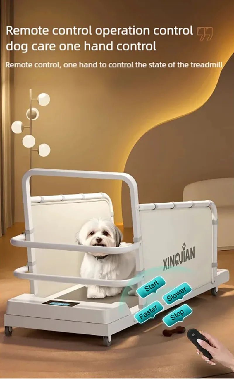 Dog treadmill, large, medium, small, dog, cat, universal animal, home use, sports training, walking machine, petHappy TailsHappy Tails