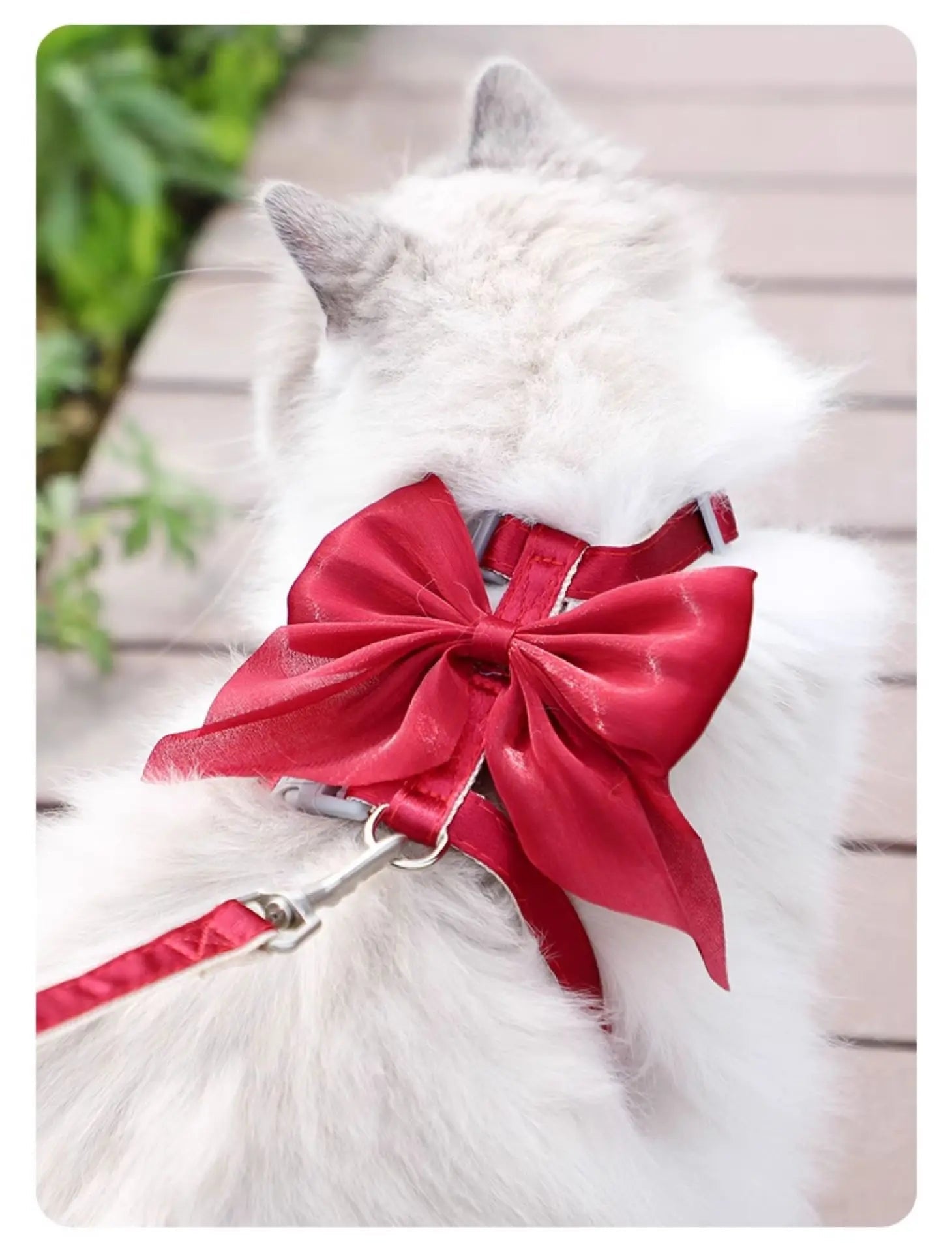 Adjustable Pet Harness with Traction Rope for Small AnimalsHappy TailsHappy Tails