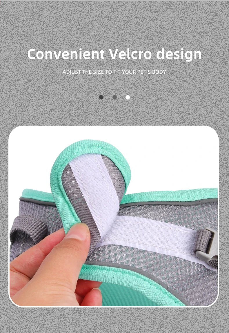 Dog Harness for Small Dogs Adjustable Puppy Cat Harness Vest French Bulldog Chihuahua Pug Pet Outdoor Walking Collar Leash Set - Happy Tails