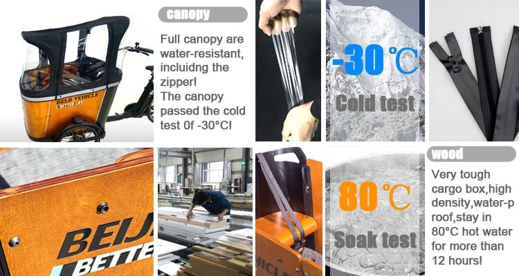 Electric Cargo Bike For Take Dog StrollHappy TailsHappy Tails