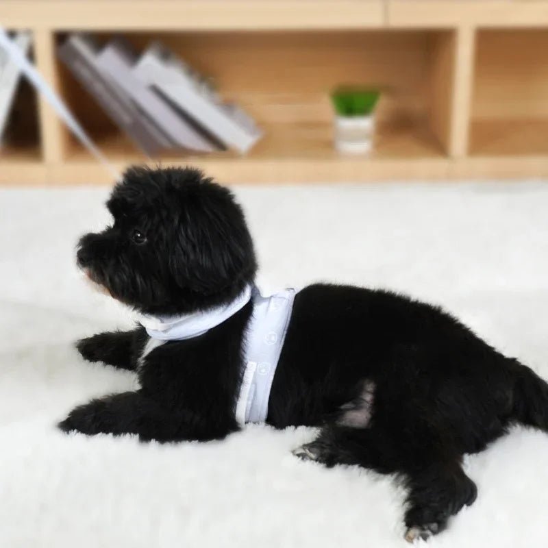 Cat Dog Harness Necklace Leash Collar Pet Items Accessories Kawaii Angel Wing Vest Harness For Dogs Cats Personalized SuppliesHappy TailsHappy Tails