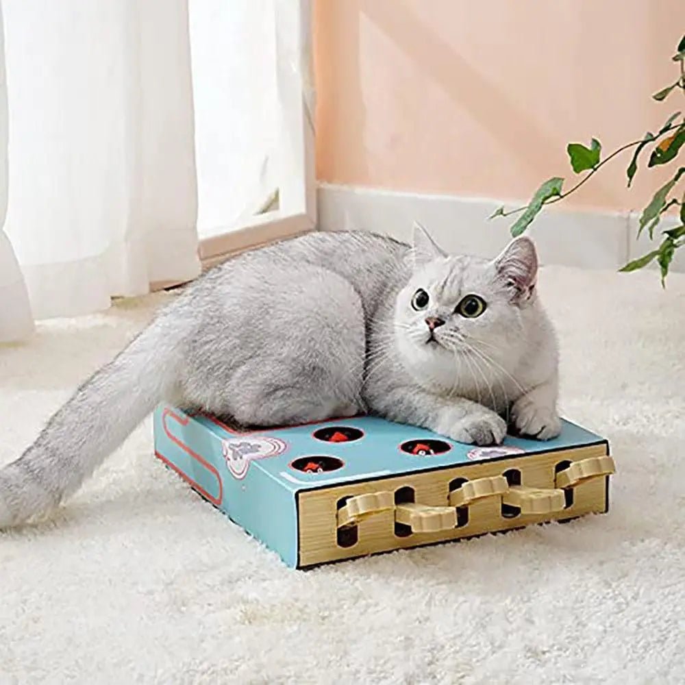 Cat Toy Whack - a - Mole Cat Scratching Board Toy Grinding Claw Rest Play Funny Cat Interactive Multifunctional Cat SuppliesHappy TailsHappy Tails