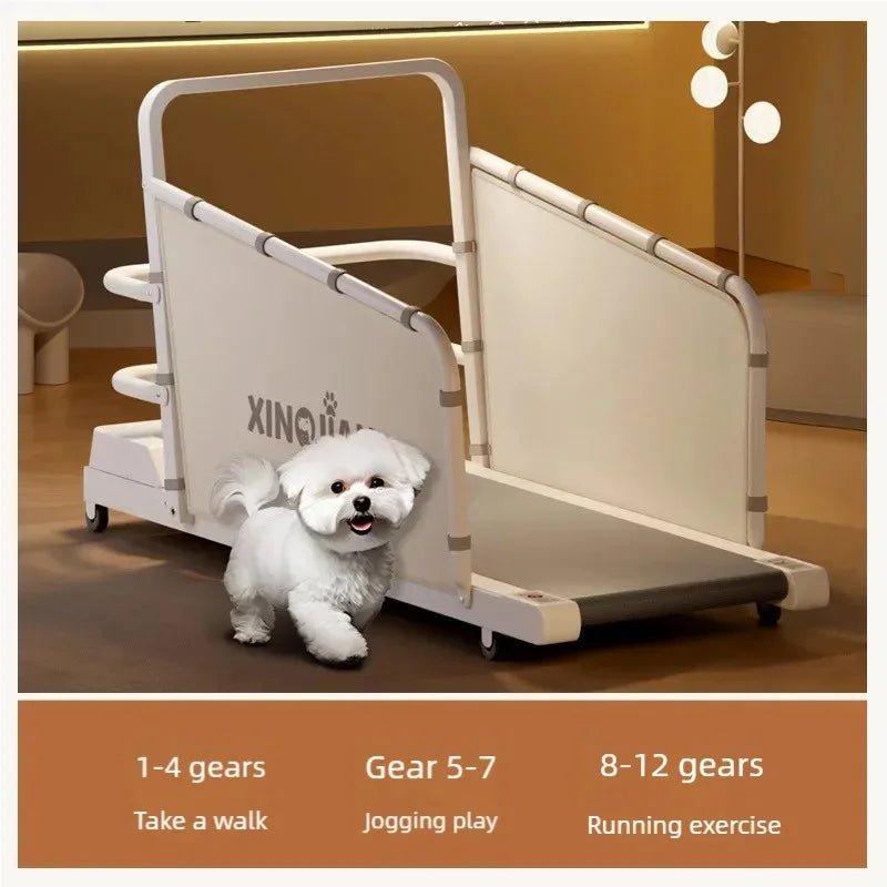 Dog treadmill, large, medium, small, dog, cat, universal animal, home use, sports training, walking machine, petHappy TailsHappy Tails