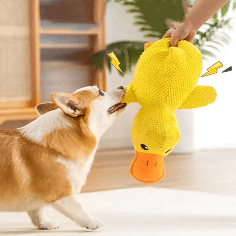 Dog sleeping with a dog hug duck toys to relieve boredom of little yellow duck pet interactive plush doll pet supplies - Happy Tails