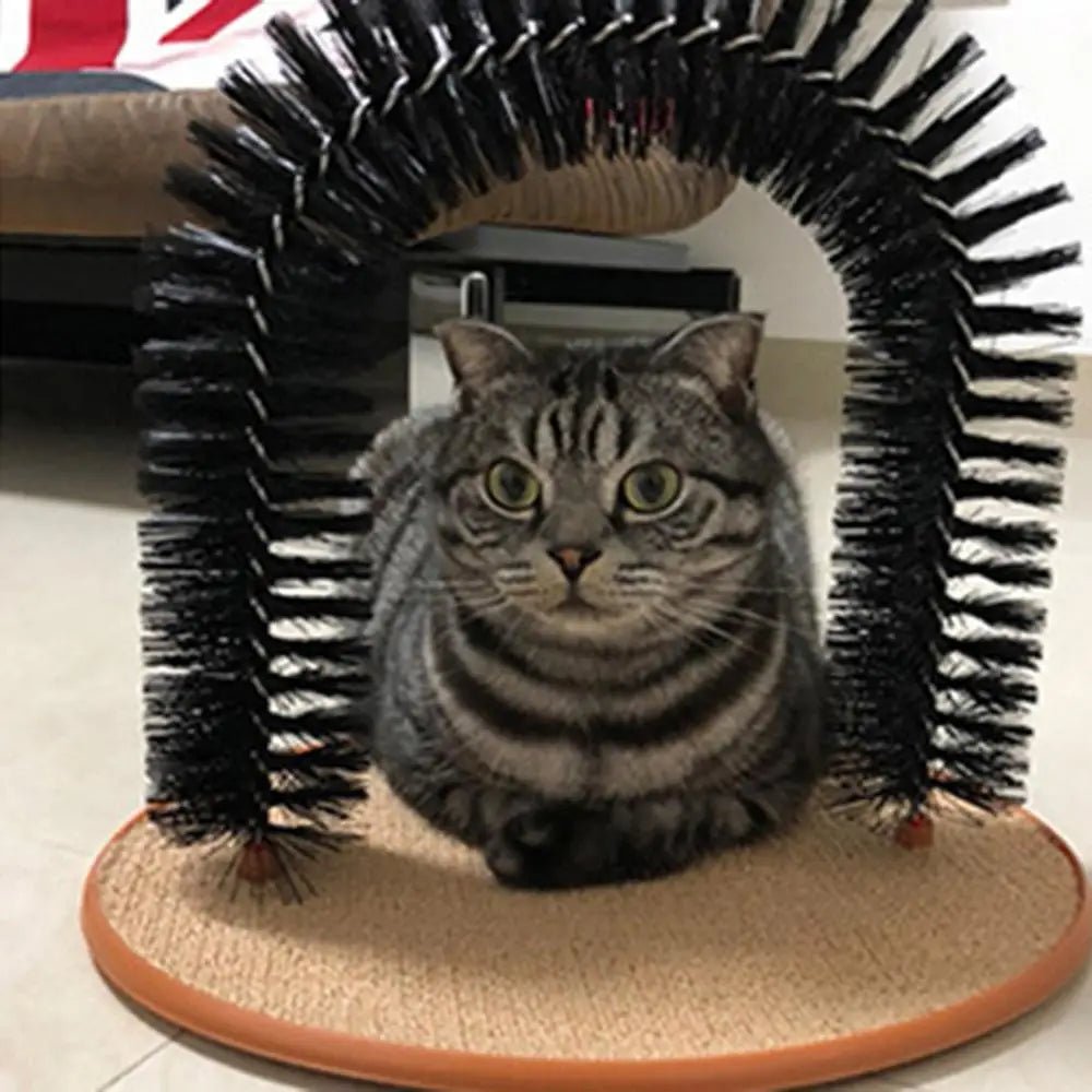 Cat Arch Self Groomer Massager Toy Cat Toys Pet Kitten Scratcher Toys Fur Grooming Cat Brush Shedding With Scratch Pad - Happy Tails