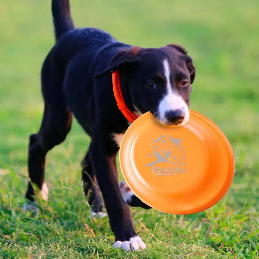Dog Training Disc - Durable Pet for Puppy & Adult Dog Training, Lightweight Easy - Catch Dog Training Toy, Essential Pet SuppliesHappy TailsHappy Tails