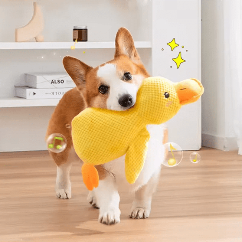 Dog sleeping with a dog hug duck toys to relieve boredom of little yellow duck pet interactive plush doll pet suppliesHappy TailsHappy Tails