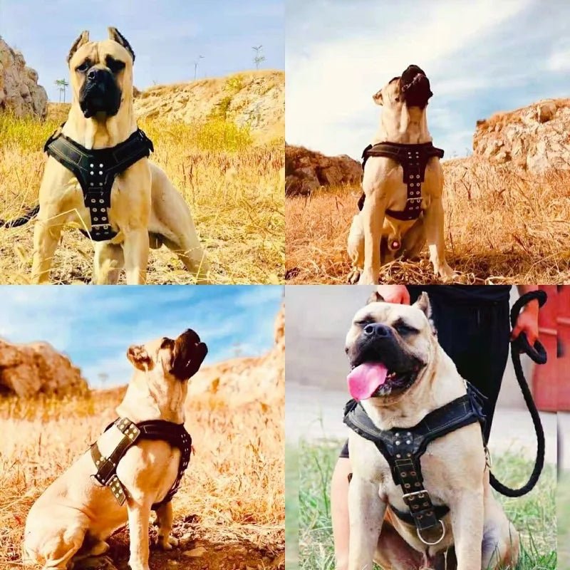 Dog Harness For Large Dog,Pit Bull Dog Harness Large Dog Collar Wholesale Leash Dog Vest Collar Fashion Pet Products Accessories - Happy Tails
