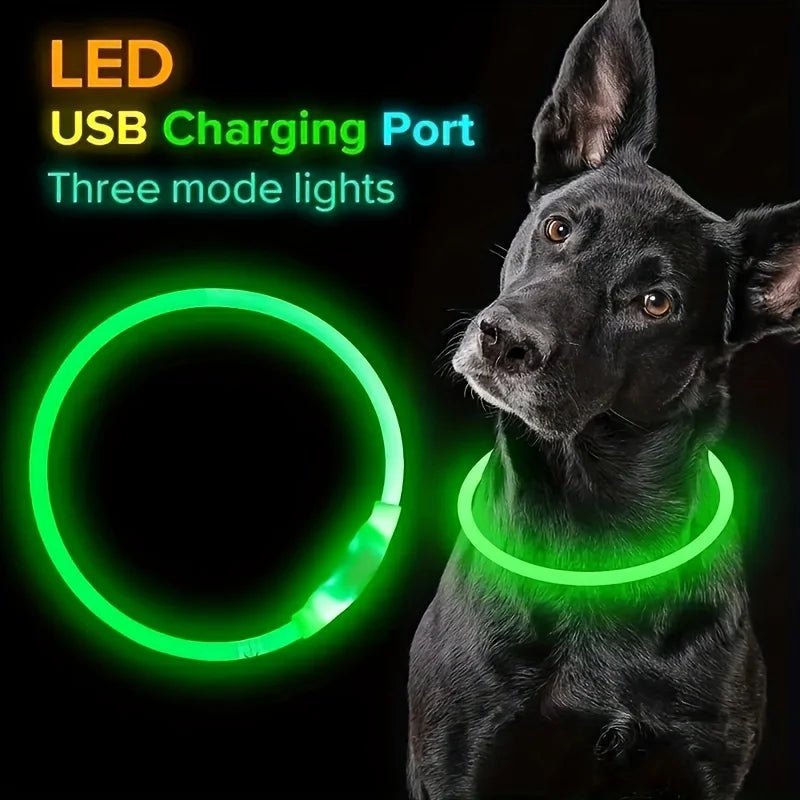 Pet Dog LED Light Collar Luminous Anti-Lost Dog Collar USB Rechargeable Dog Necklace Collar - Happy Tails