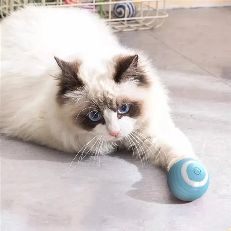 Self-moving Electric Cat Ball Toy for Active KittensHappy TailsHappy Tails