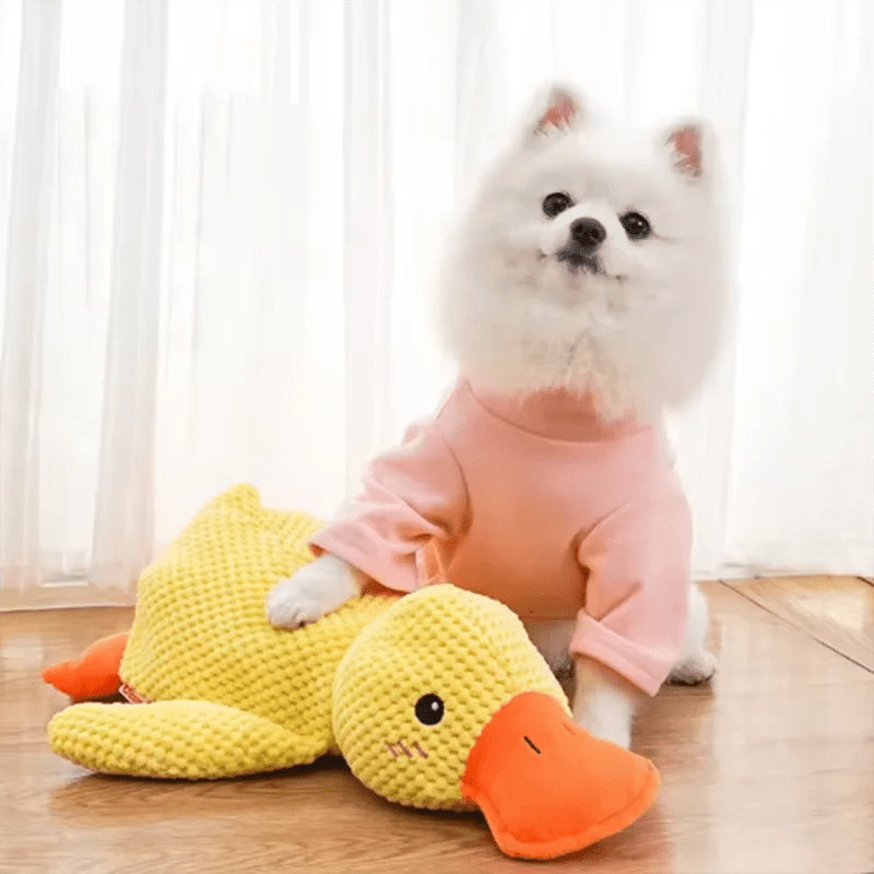 Dog sleeping with a dog hug duck toys to relieve boredom of little yellow duck pet interactive plush doll pet supplies - Happy Tails