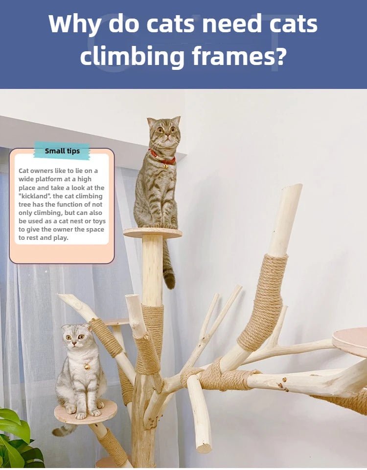 Cat Climbing Frame Sisal Scratches and Wear-resistant Cast Nest Tree Cat Scratching Post Strong Bearing Capacity Pet Products - Happy Tails