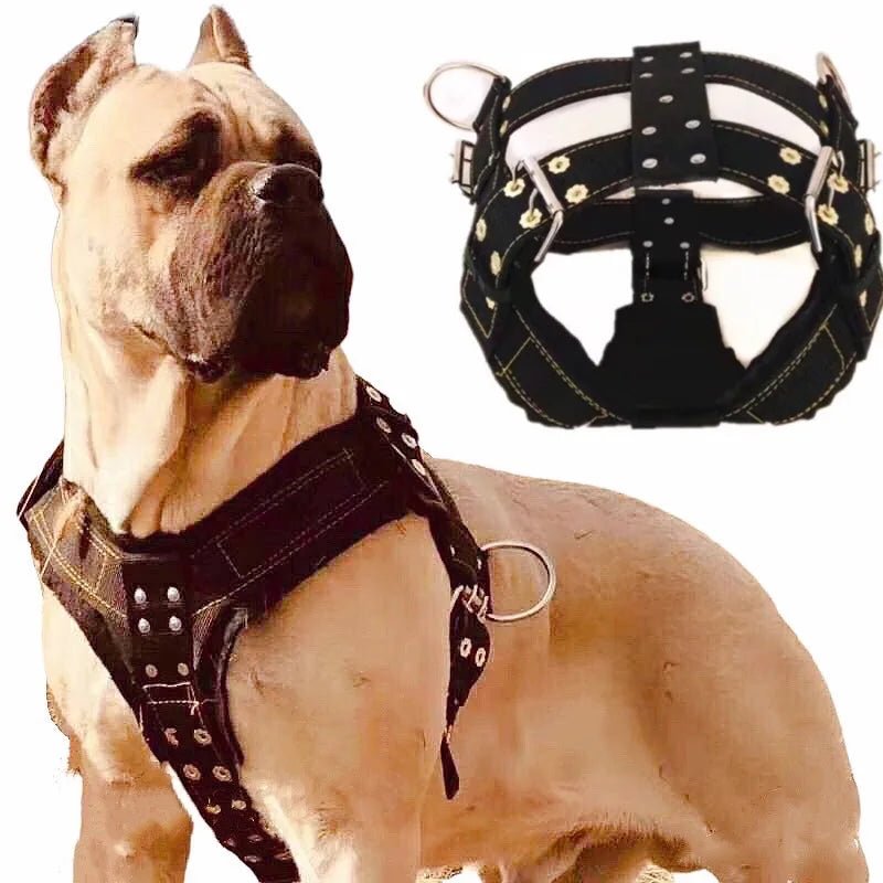 Dog Harness For Large Dog,Pit Bull Dog Harness Large Dog Collar Wholesale Leash Dog Vest Collar Fashion Pet Products Accessories - Happy Tails