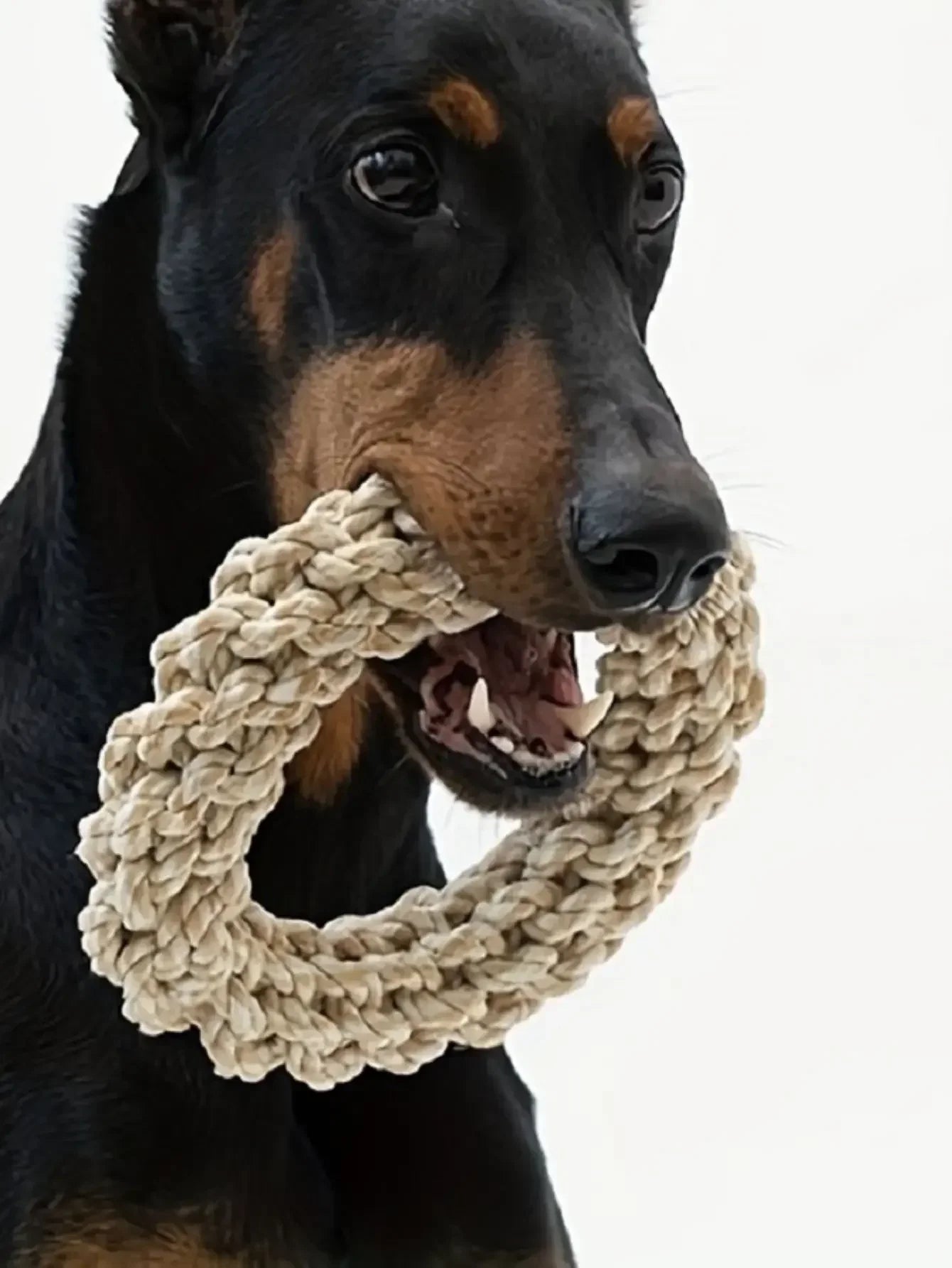 Pet Dog Rope Toy Durable Chew Bite Resistant Pet Toys for Medium Large Dogs Golden Retriever Pitbull Labrador SuppliesHappy TailsHappy Tails