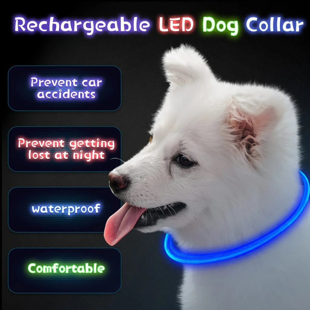 Pet Dog LED Light Collar Luminous Anti-Lost Dog Collar USB Rechargeable Dog Necklace Collar - Happy Tails