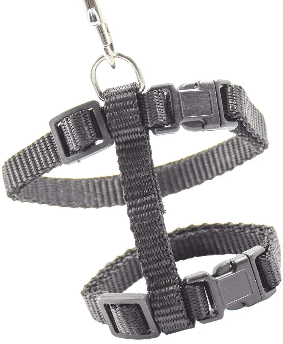 Kitten Cat Harness Leash Set Walking Escape Proof Adjustable Nylon Halter Collar Harness for Cats Puppy Rabbit Pet Accessories - Happy Tails