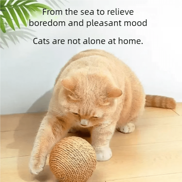 8cm Cat Scratching Ball Interactive Cat Toys Bite Resistant Kitten Chasing Ball Pet Sounding Toys for Cats with Cat AccessoriesHappy TailsHappy Tails