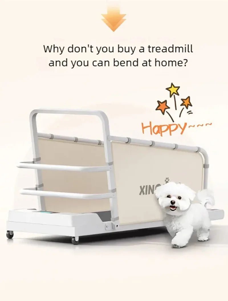 Dog treadmill, large, medium, small, dog, cat, universal animal, home use, sports training, walking machine, petHappy TailsHappy Tails
