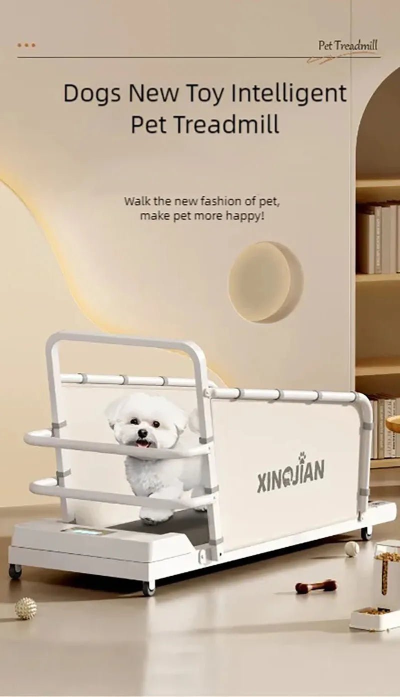 Dog treadmill, large, medium, small, dog, cat, universal animal, home use, sports training, walking machine, petHappy TailsHappy Tails