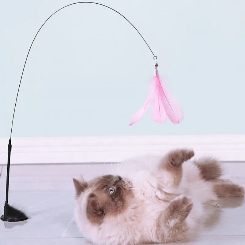 Cat Toy Feather Toys for Cats ScratchTease Cat Toys Interactive Funny Bite Resistant Cats Toy with Bell Wire Sucker Pet ProductsHappy TailsHappy Tails